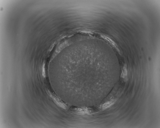 X0000085810524200703231339