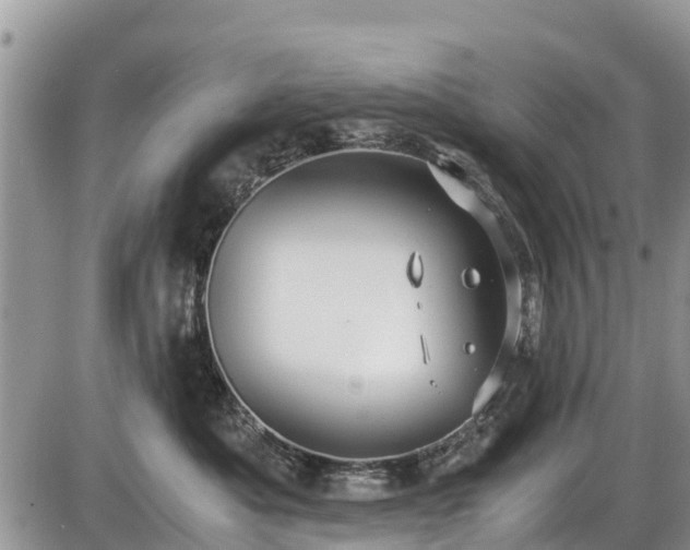 X0000085810525200703231339