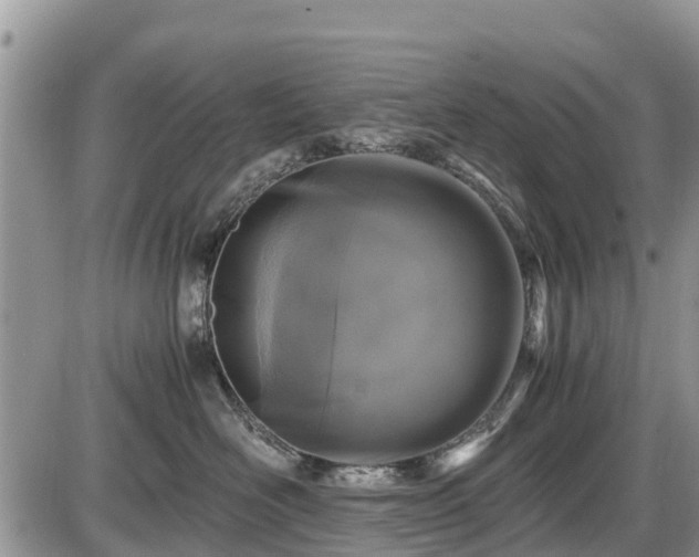 X0000085810526200703231339