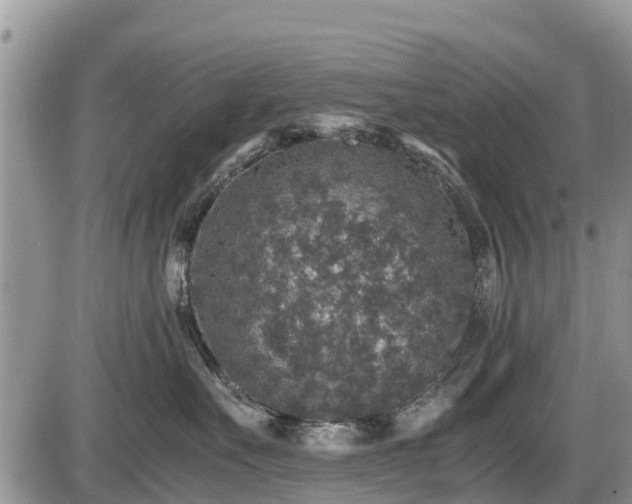 X0000085810527200703231339