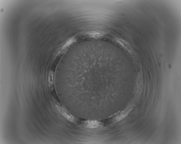 X0000085810528200703231339