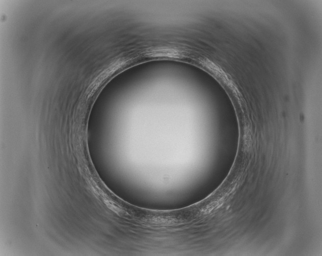 X0000085810529200703231338