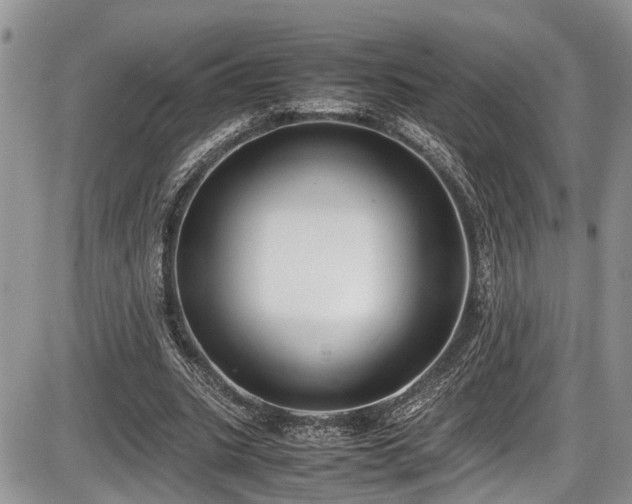 X0000085810535200703231338