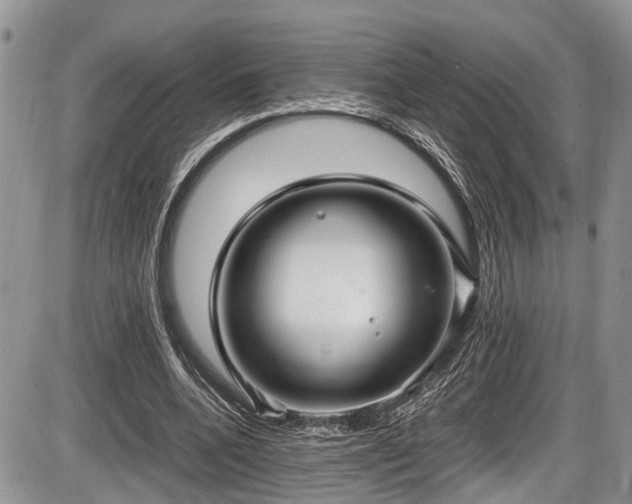 X0000085810536200703231338