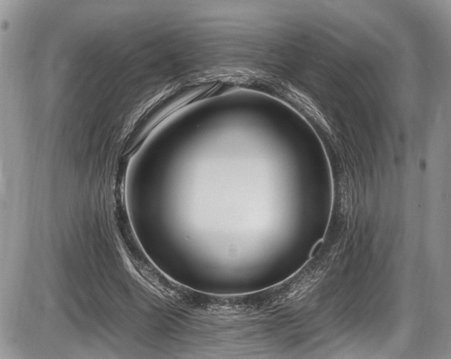 X0000085810538200703231338