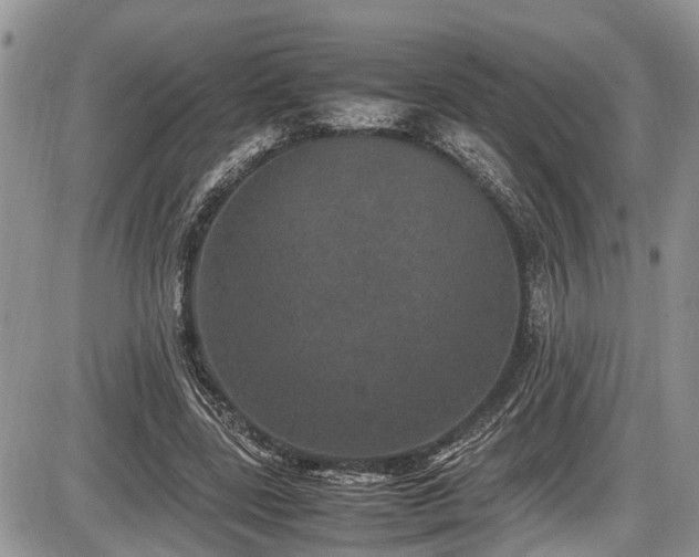 X0000085810539200703231338