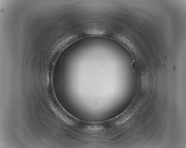 X0000085810541200703231338