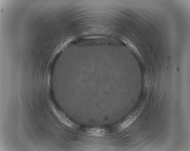 X0000085810542200703231338