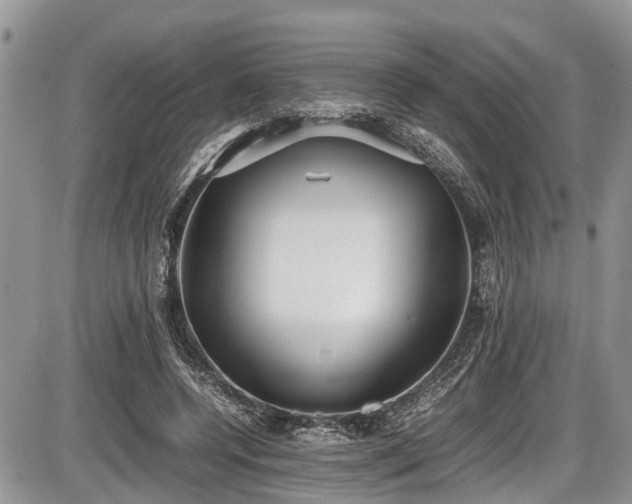 X0000085810544200703231338