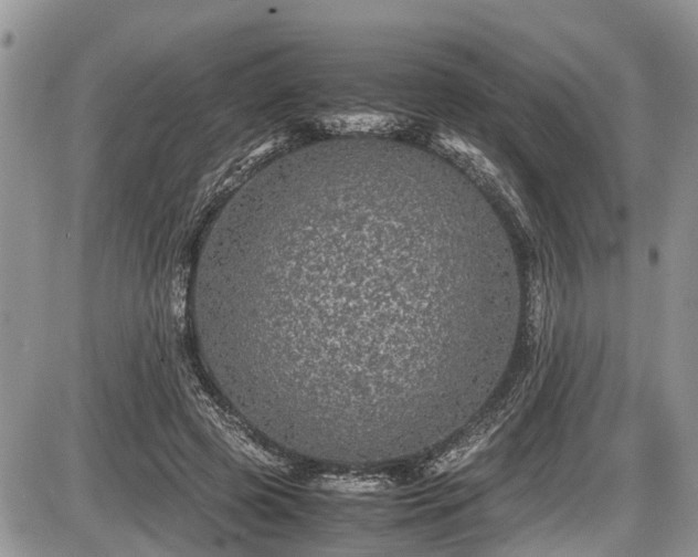 X0000085810545200703231338