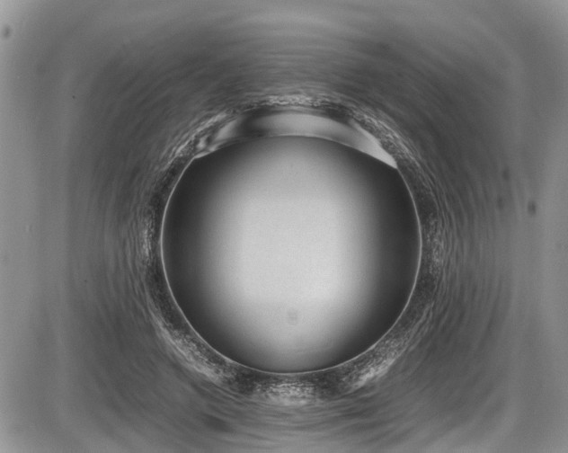 X0000085810546200703231338