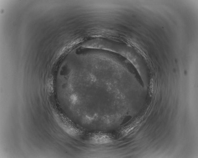 X0000085810547200703231338