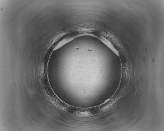 X0000085810548200703231338