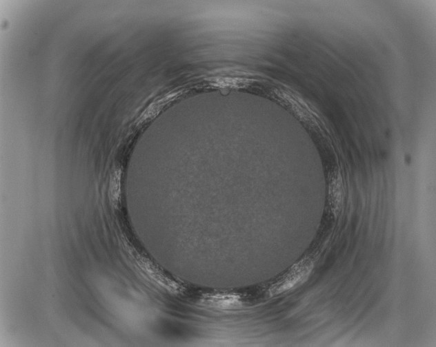 X0000085810554200703231338