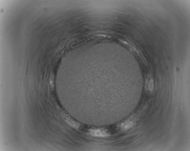 X0000085810561200703231339