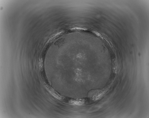 X0000085810563200703231339