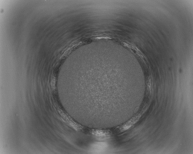 X0000085810565200703231339