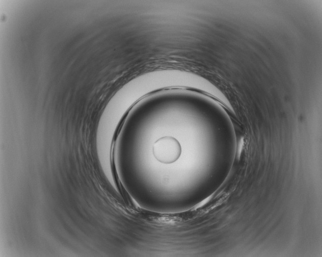 X0000085810566200703231339