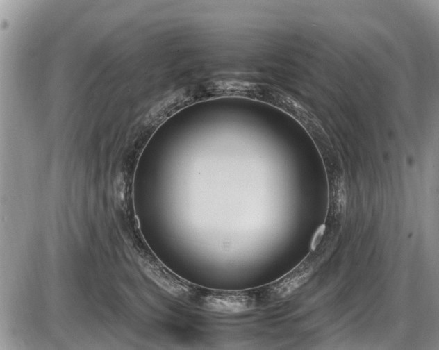 X0000085810567200703231339