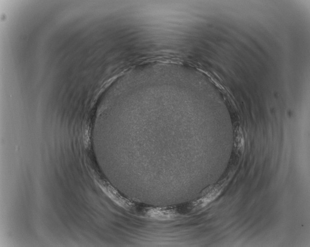 X0000085810568200703231339