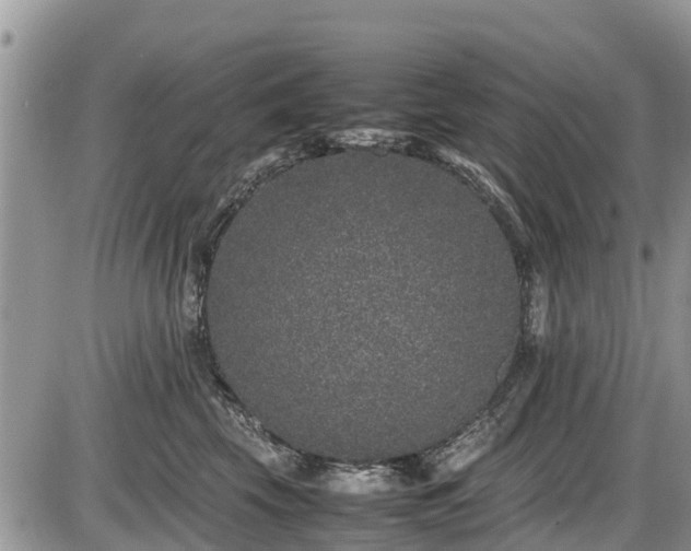 X0000085810569200703231339