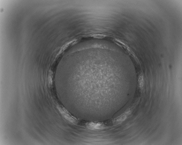 X0000085810570200703231339