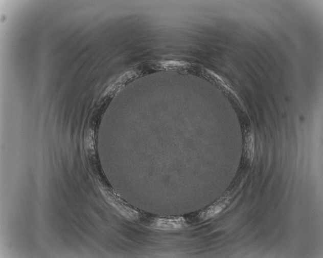 X0000085810571200703231339