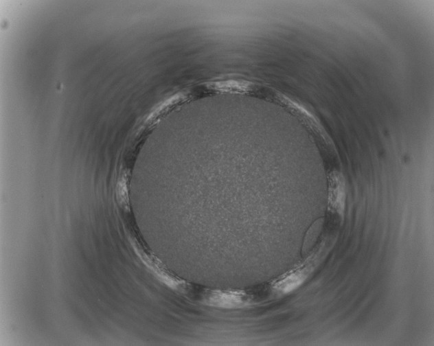 X0000085810573200703231339