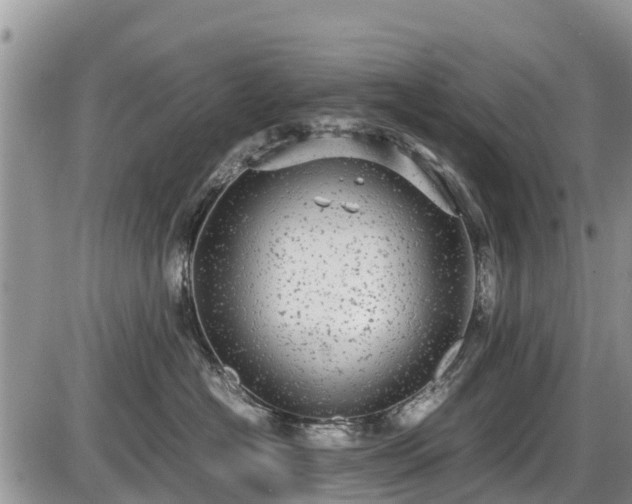 X0000085810574200703231339