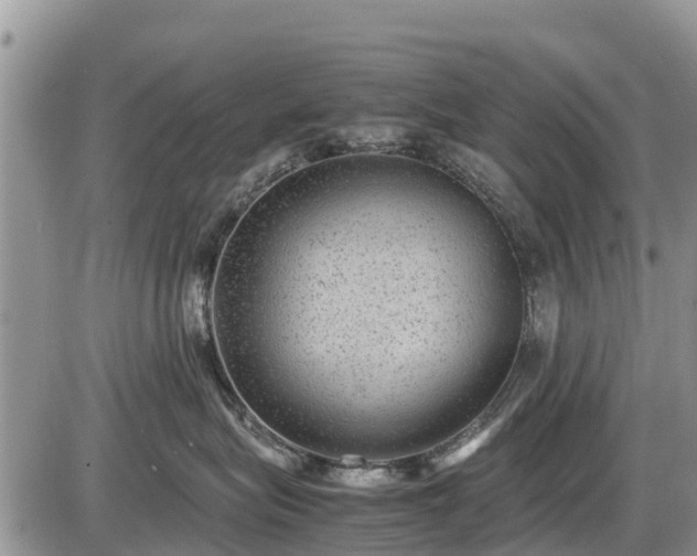 X0000085810575200703231339