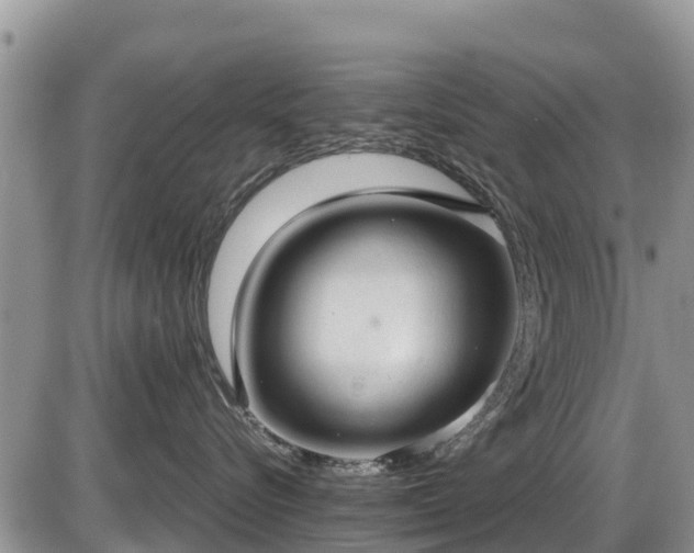 X0000085810576200703231339