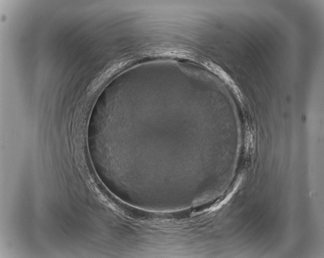 X0000085810577200703231338