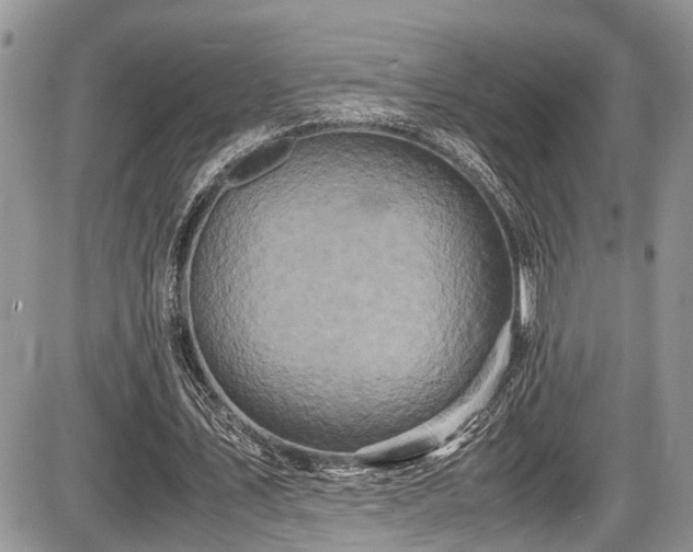 X0000085810579200703231338