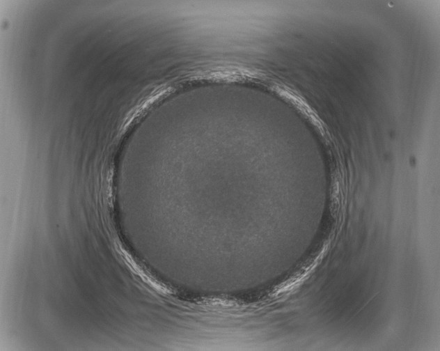 X0000085810585200703231338