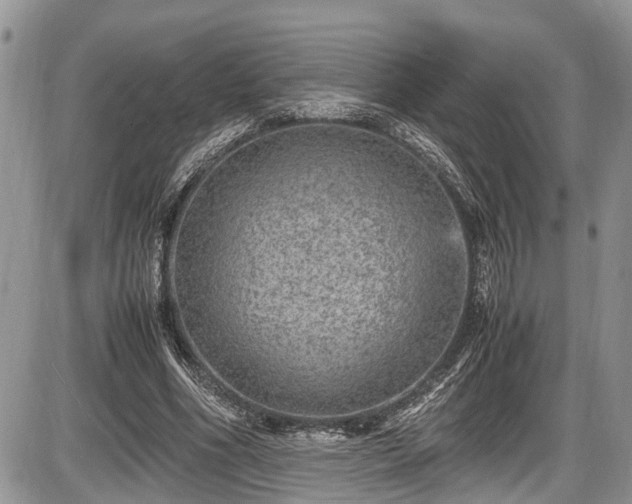 X0000085810586200703231338