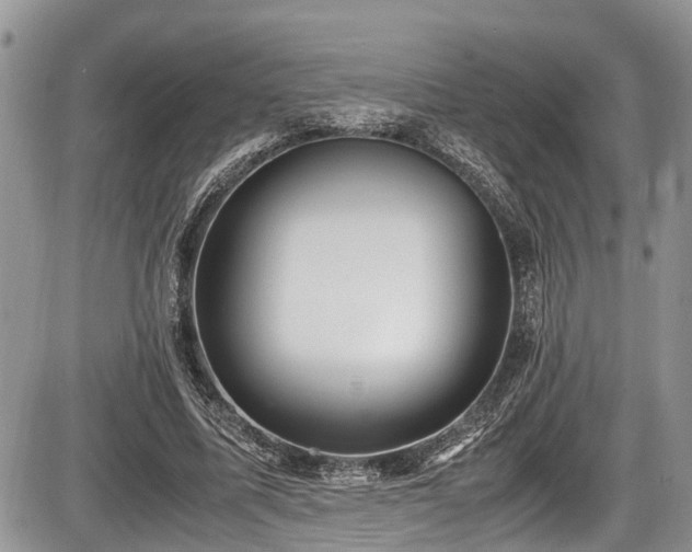 X0000085810587200703231338