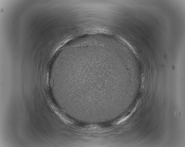 X0000085810589200703231338