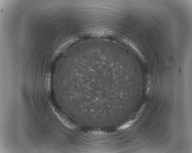 X0000085810590200703231338