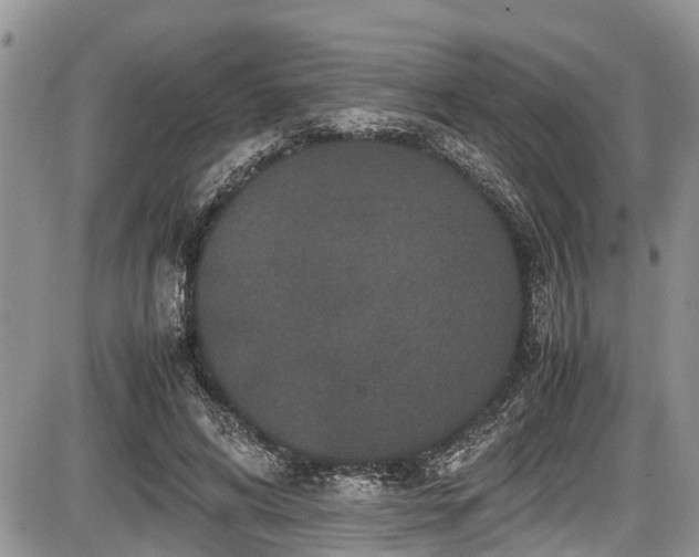 X0000085810592200703231338