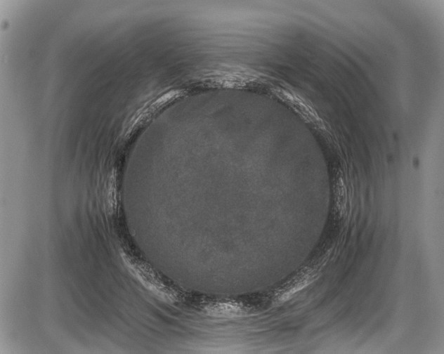 X0000085810594200703231338