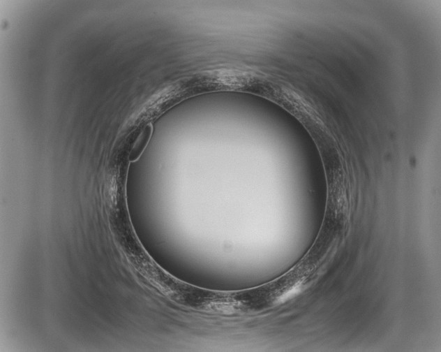 X0000085810595200703231338