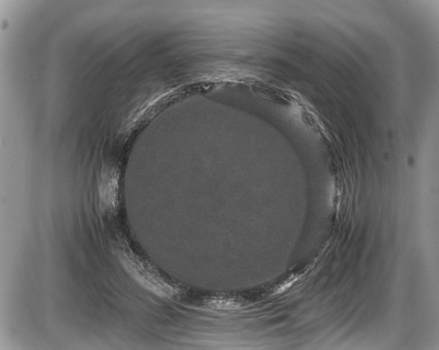 X0000085810596200703231338