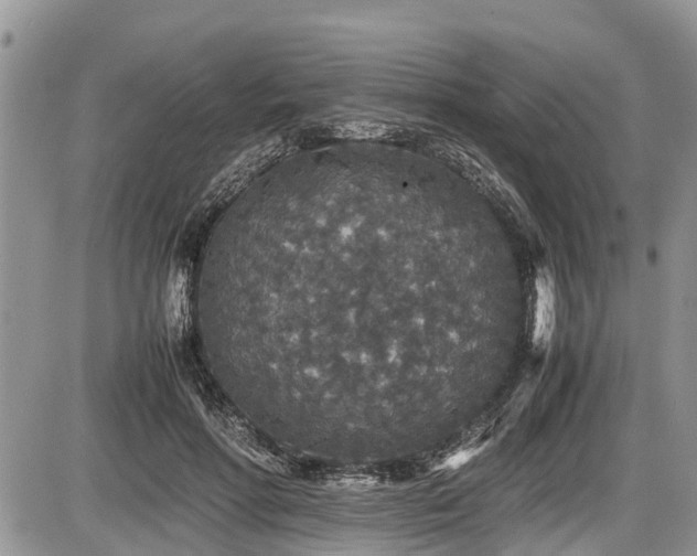 X0000085810598200703231338