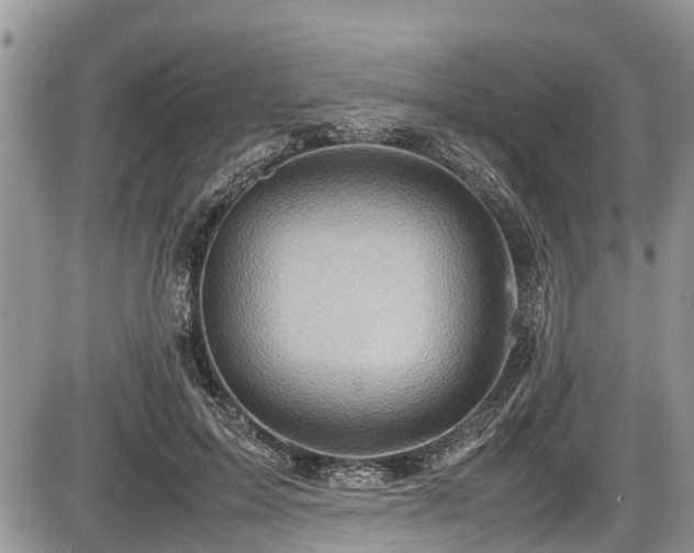 X0000085810599200703231338