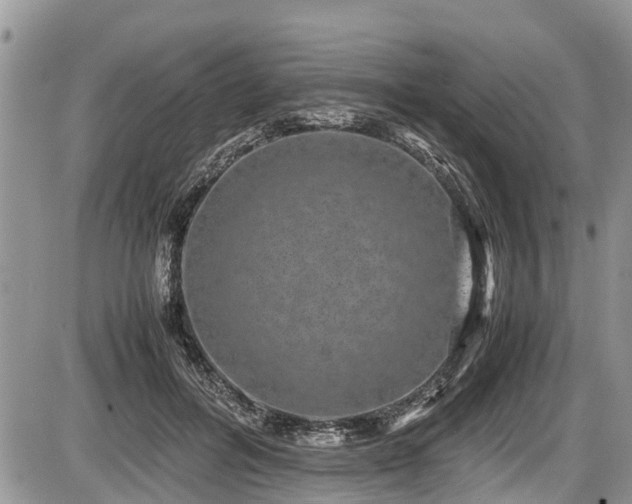 X0000085810600200703231338