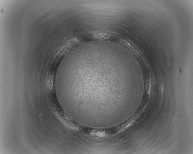 X0000085810602200703231338