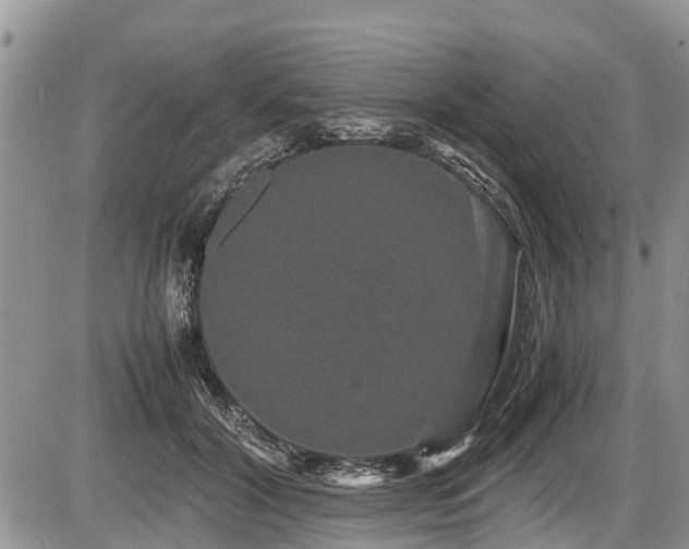 X0000085810604200703231338