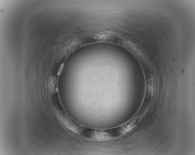 X0000085810605200703231337