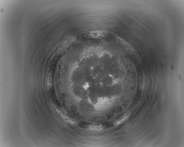 X0000085810606200703231337