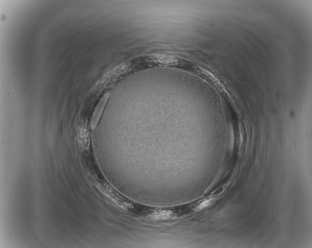 X0000085810609200703231337